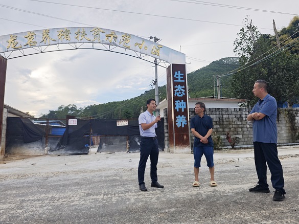 广西兽医研究所赴崇左市开展防汛防台风指导服务工作